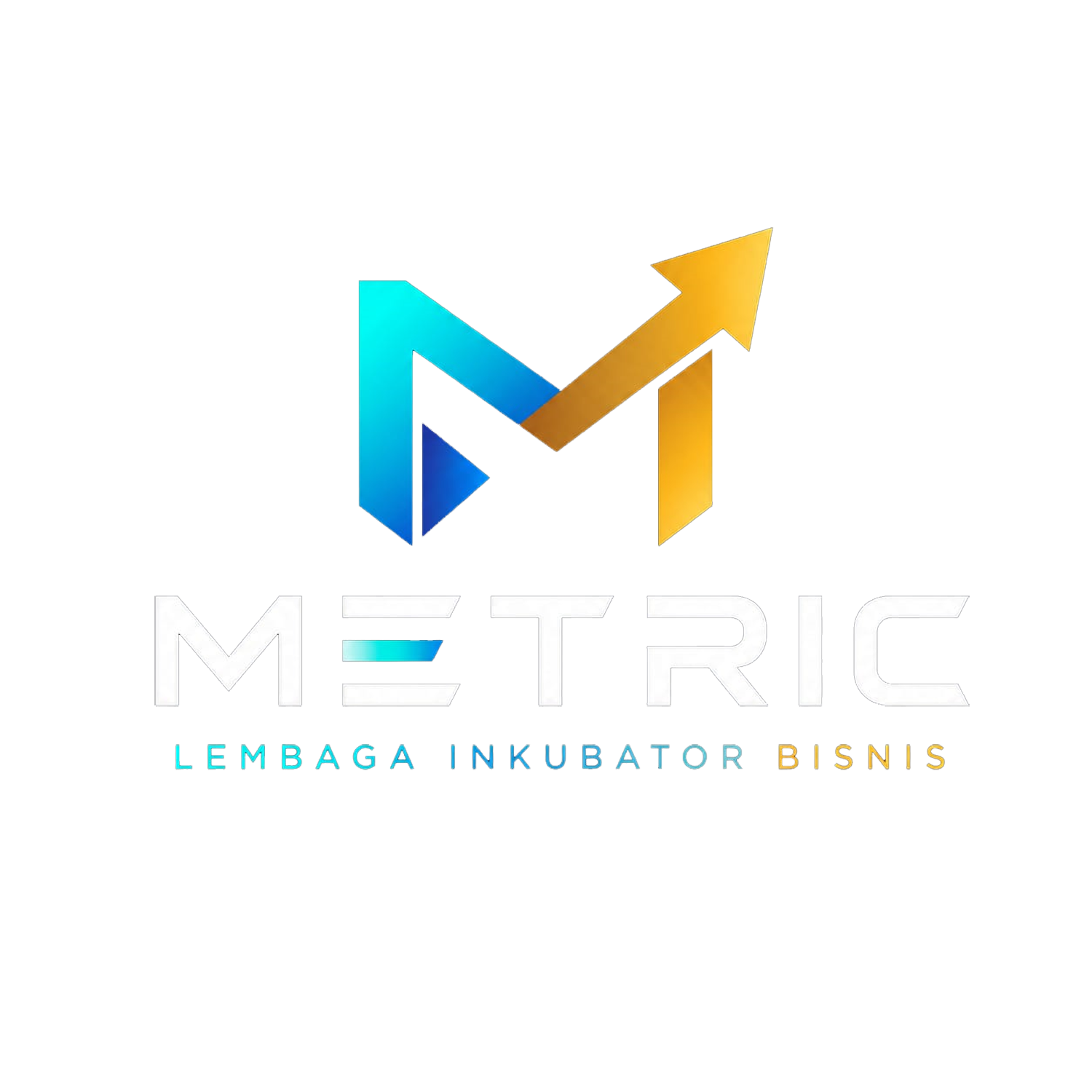 Logo METRIC
